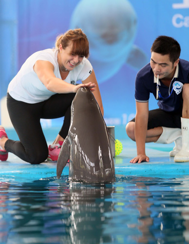 又能强化关 又能强化关