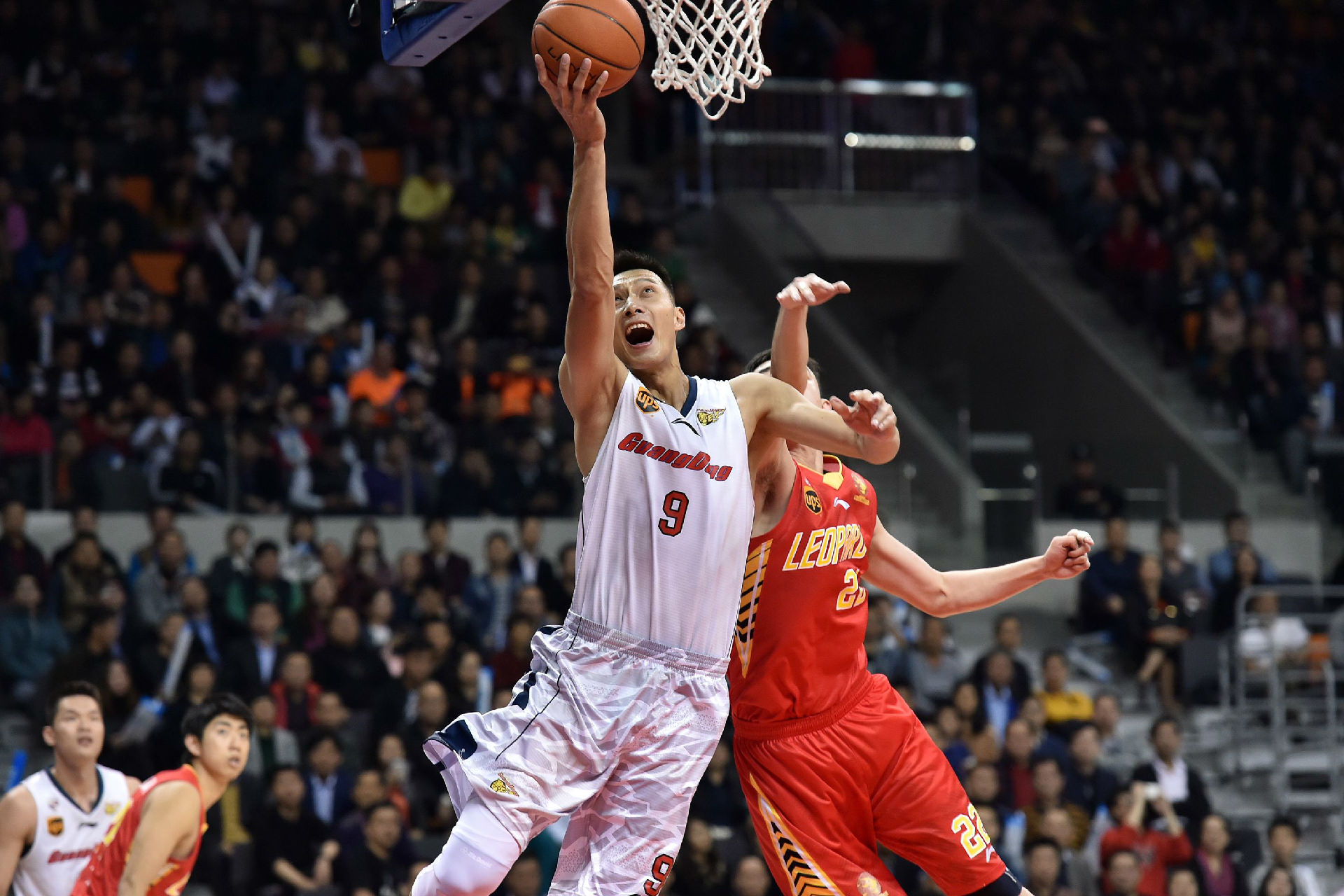 家队谱写了 家队谱写了