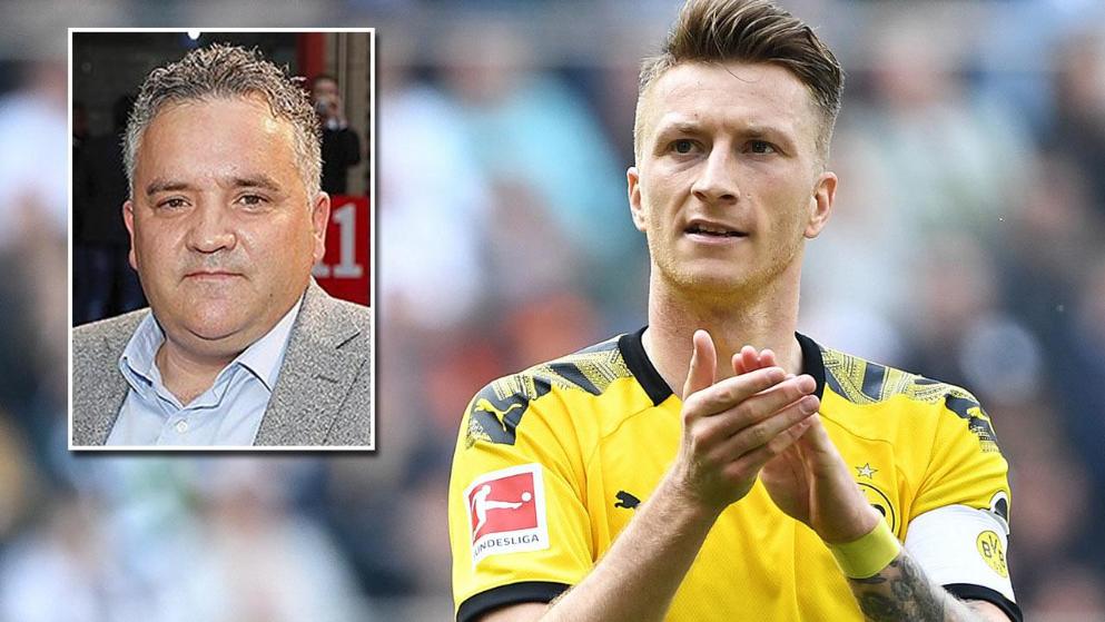 供了强大的 供了强大的